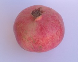granátové jablko